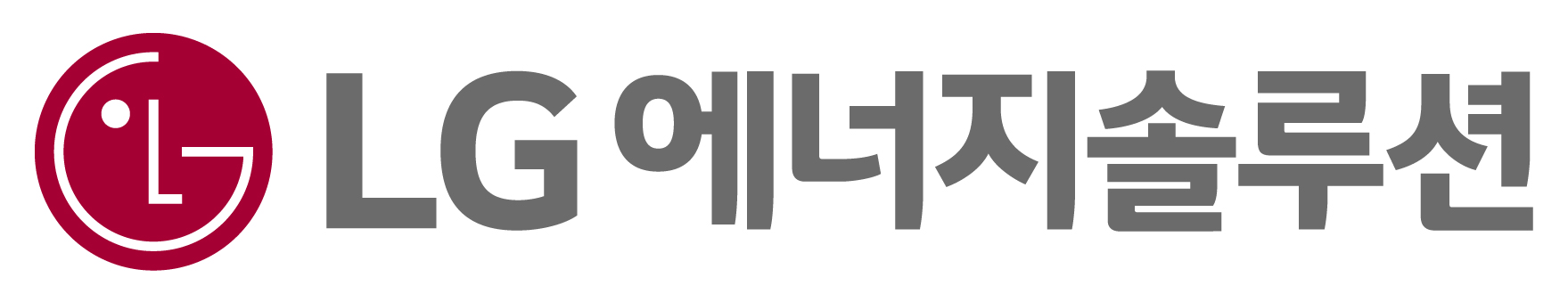 LG 에너지솔루션